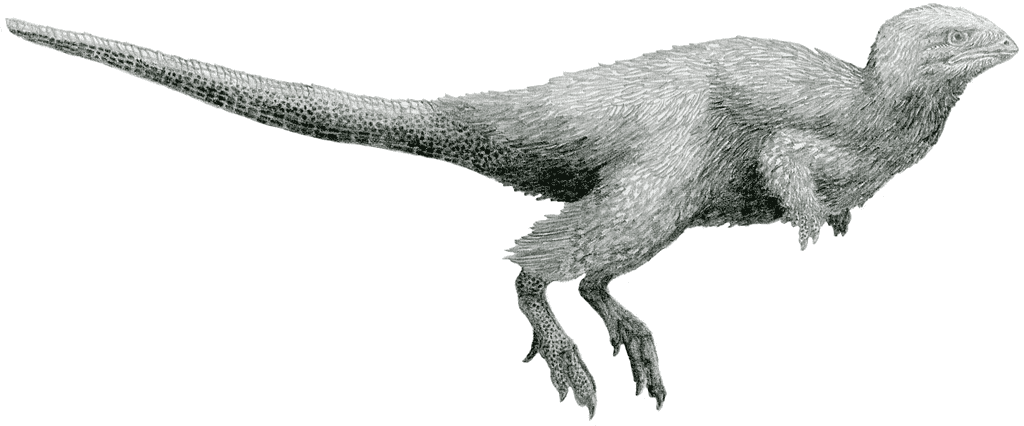 Kulindadromeus: The Fuzzy Ornithopod