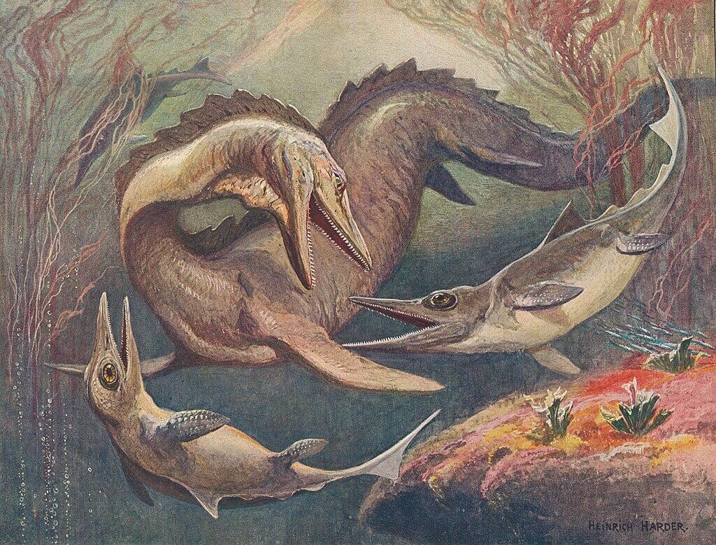The Cretaceous Decline