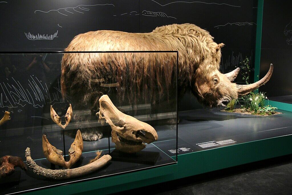 A Tank-Like Body Built for Ancient Warfare