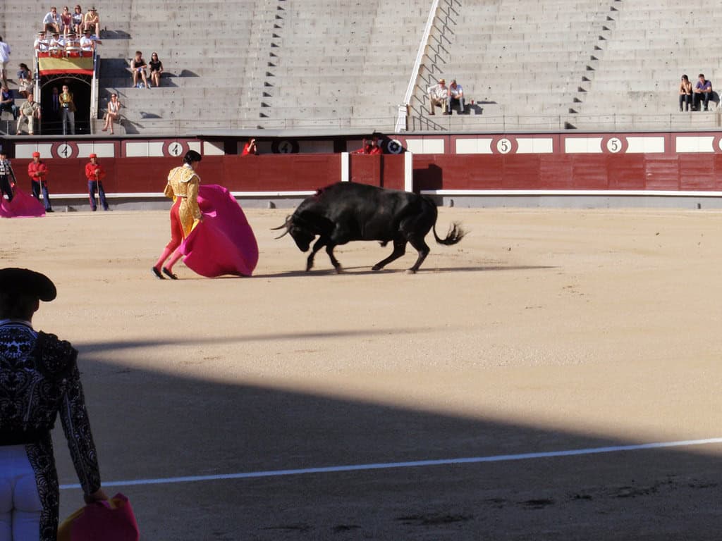 Bullfighting. Image by Openverse.