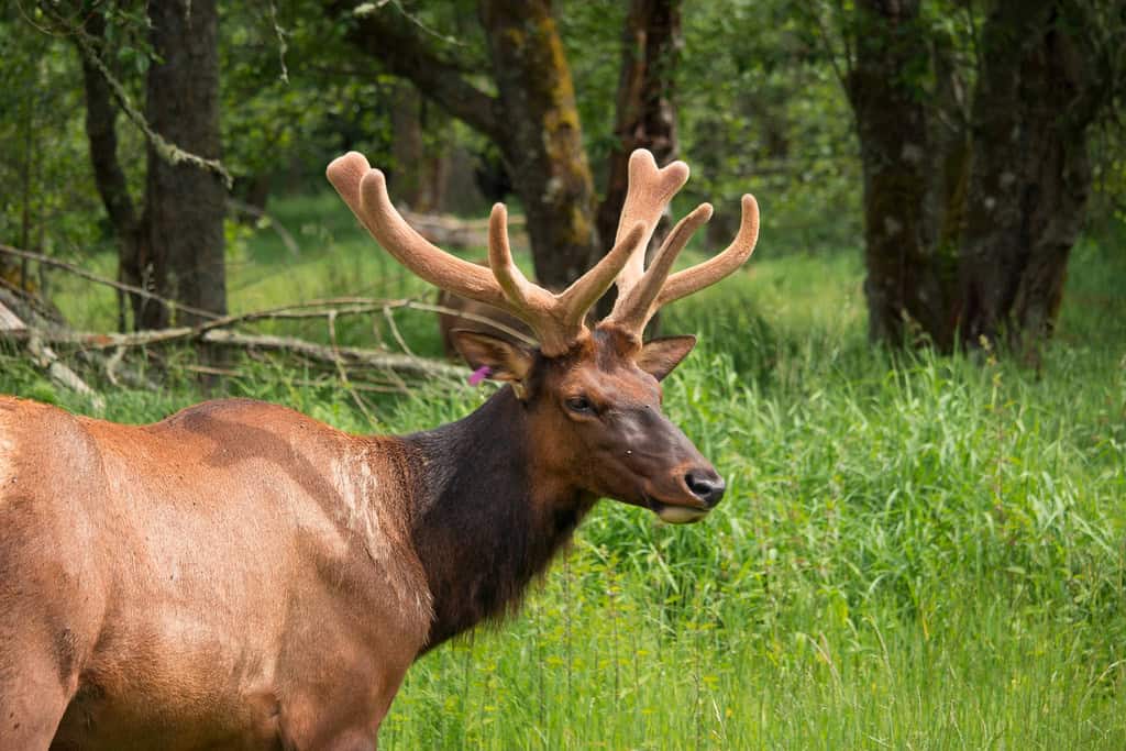 Climate Change and Habitat Loss (image credits: flickr)