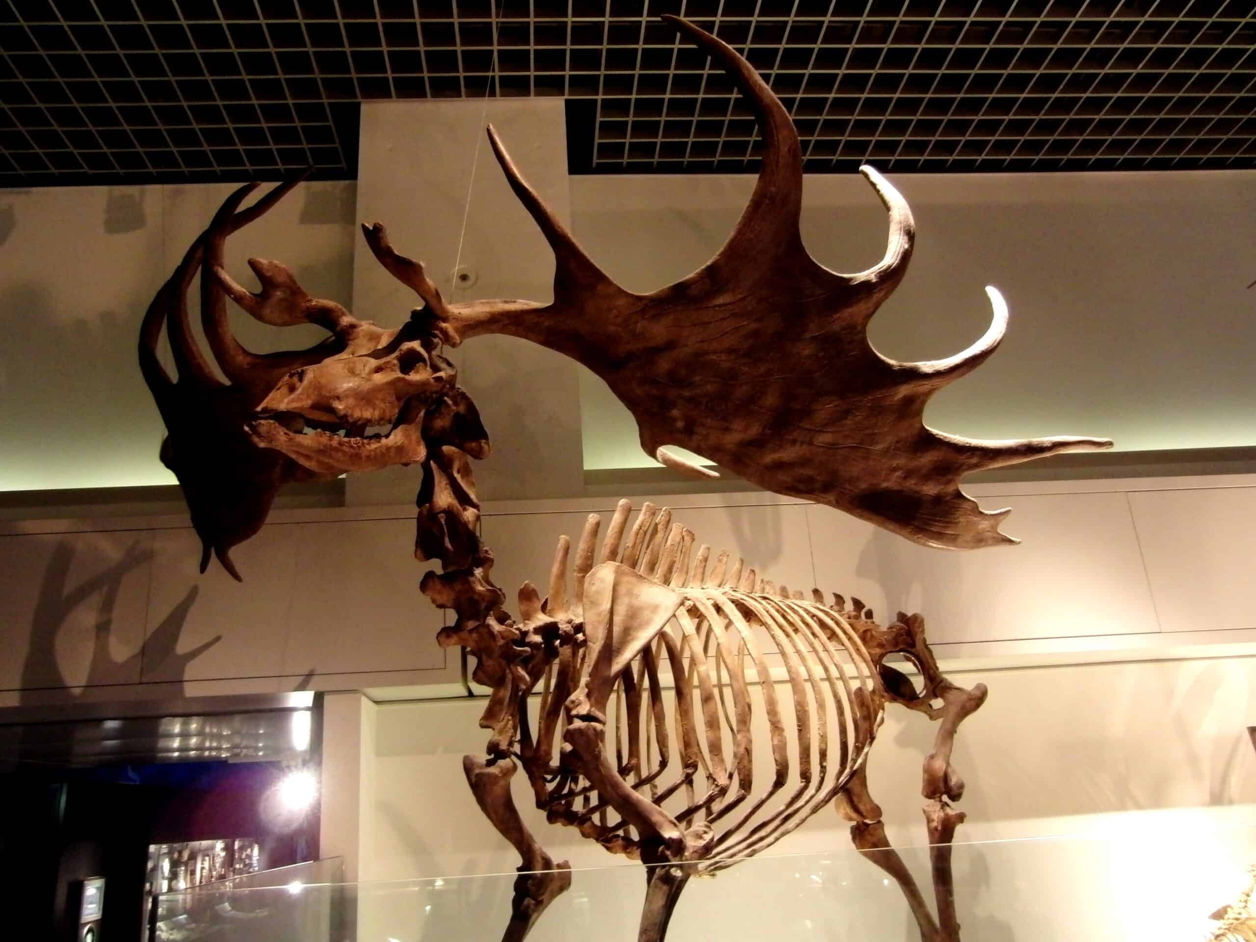 Scientific Research and Studies (image credits: wikimedia)
