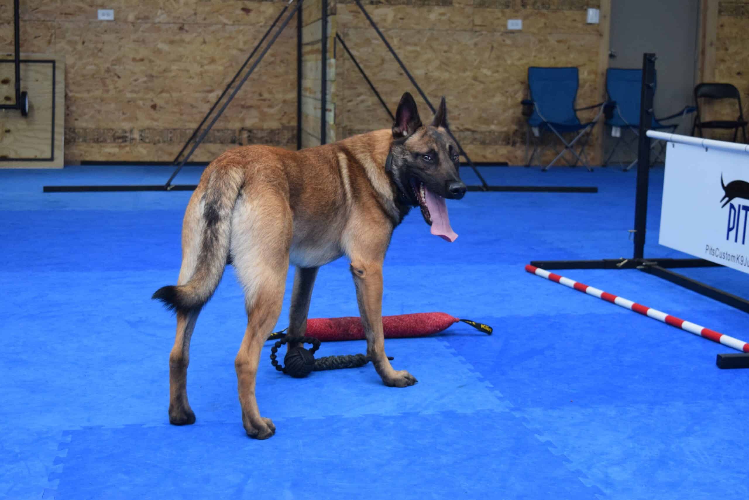 Supporting Behavioral Rehabilitation Programs (image credits: By Greatmats, CC BY-SA 4.0, https://commons.wikimedia.org/w/index.php?curid=60470148)