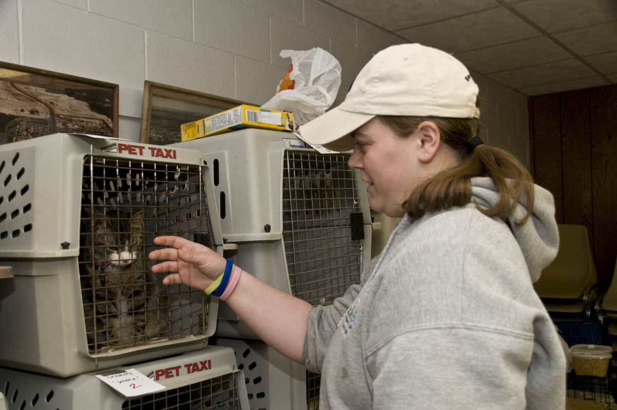 Reaching Out to Animal Welfare Organizations