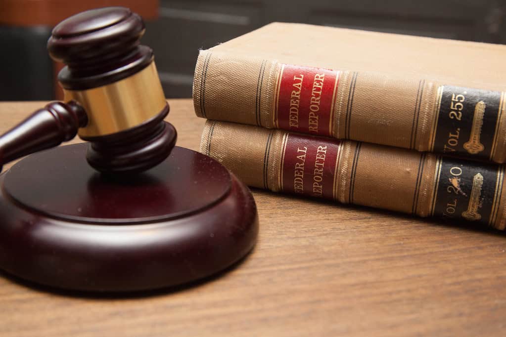 Legal Consequences for Animal Abusers (image credits: flickr)