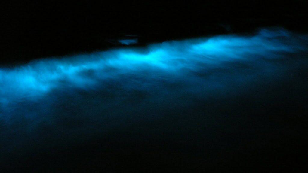 Swimming Through Liquid Stars
