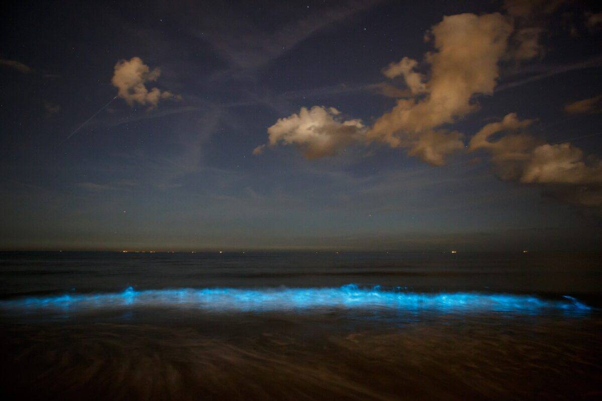 The Duration and Intensity of Light Shows