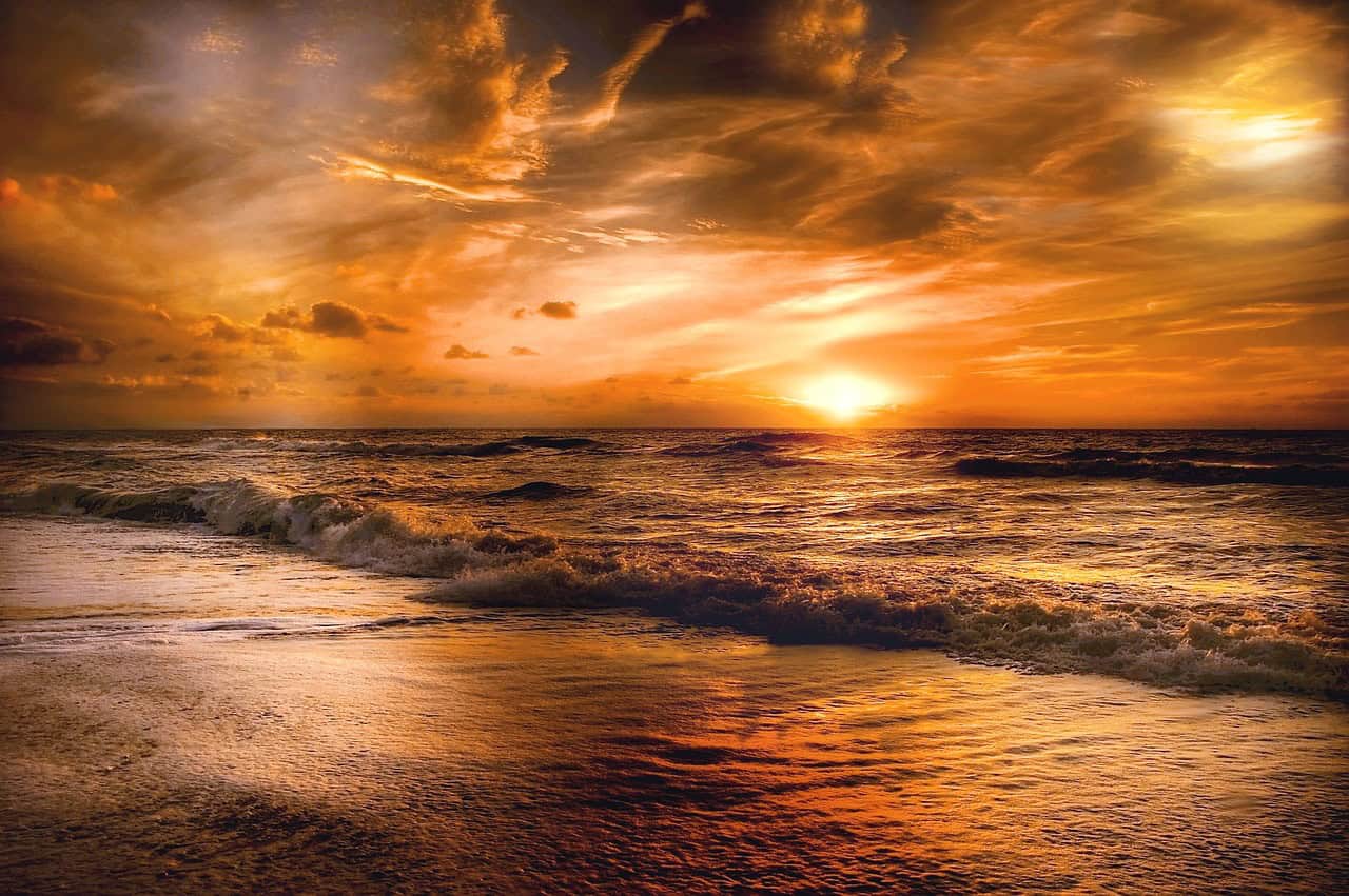 Conclusion (image credits: pixabay)