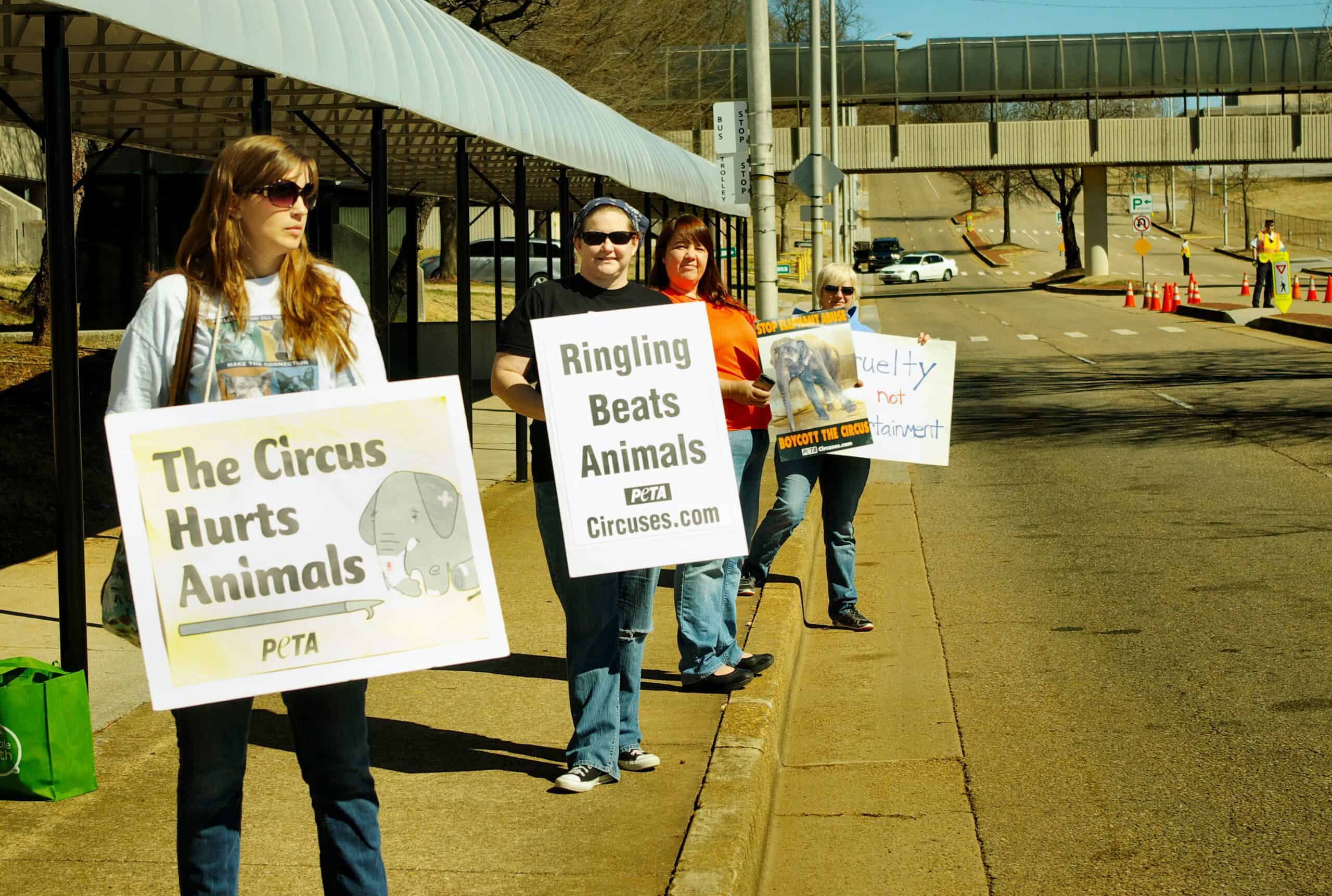Long-term Impact on Elephant Welfare Policy (image credits: wikimedia)