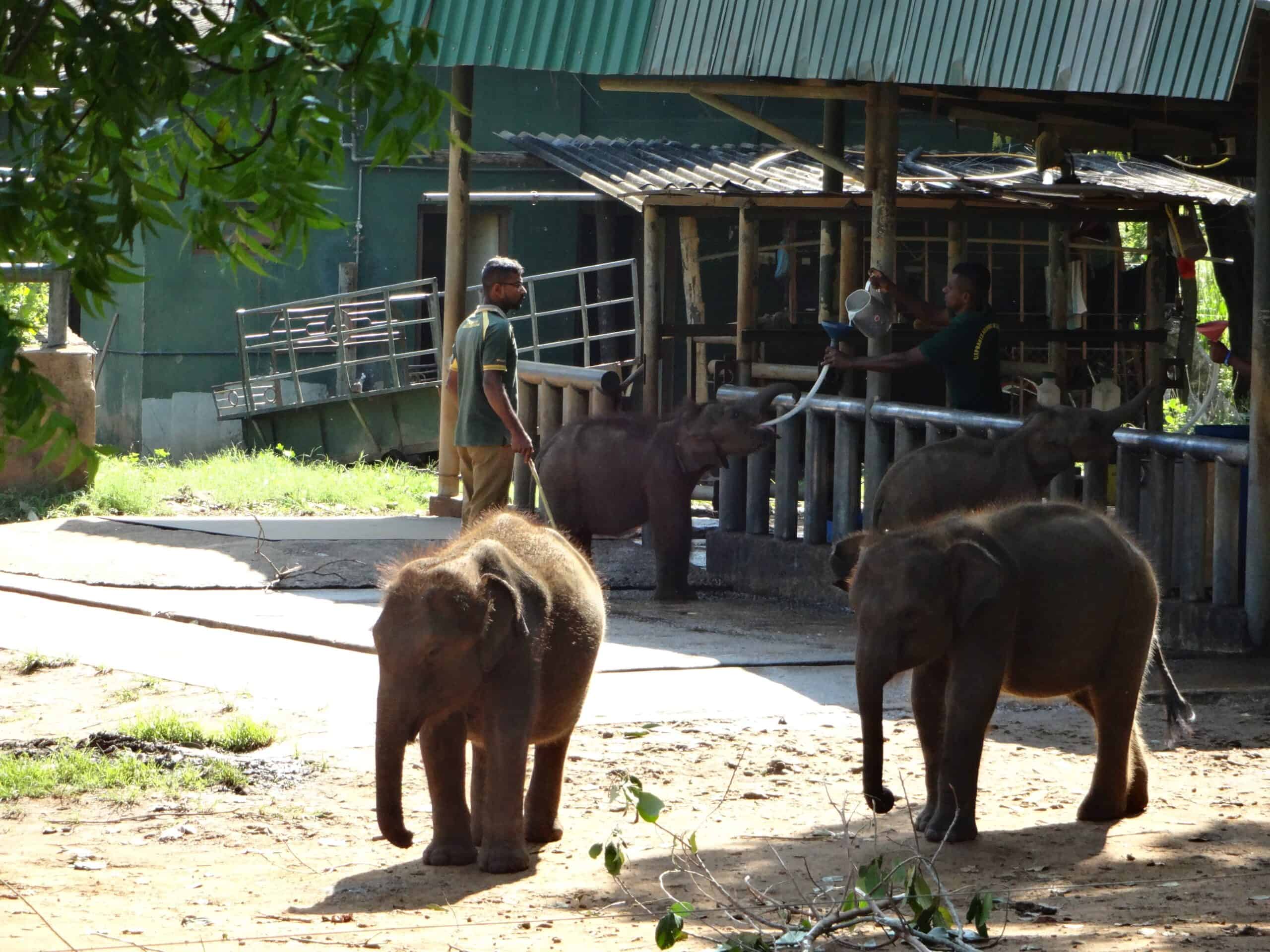 Behavioral Rehabilitation Programs (image credits: wikimedia)