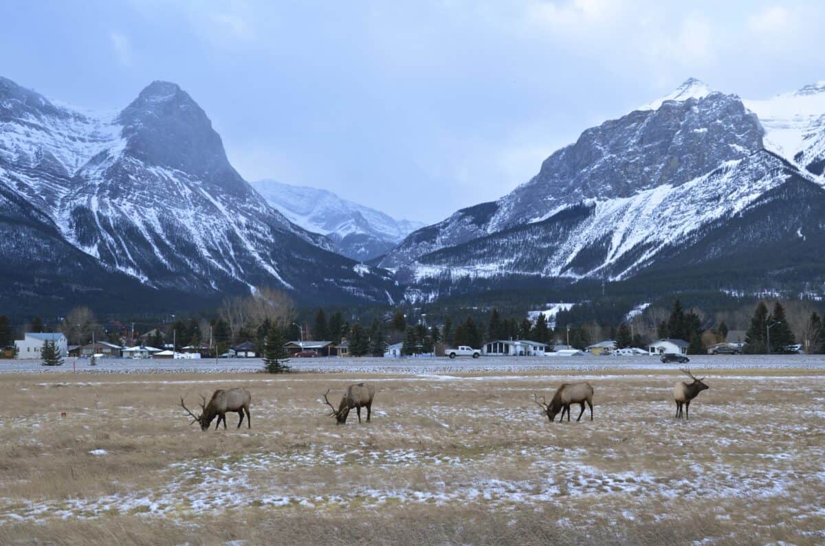 Banff National Park, Alberta, Canada