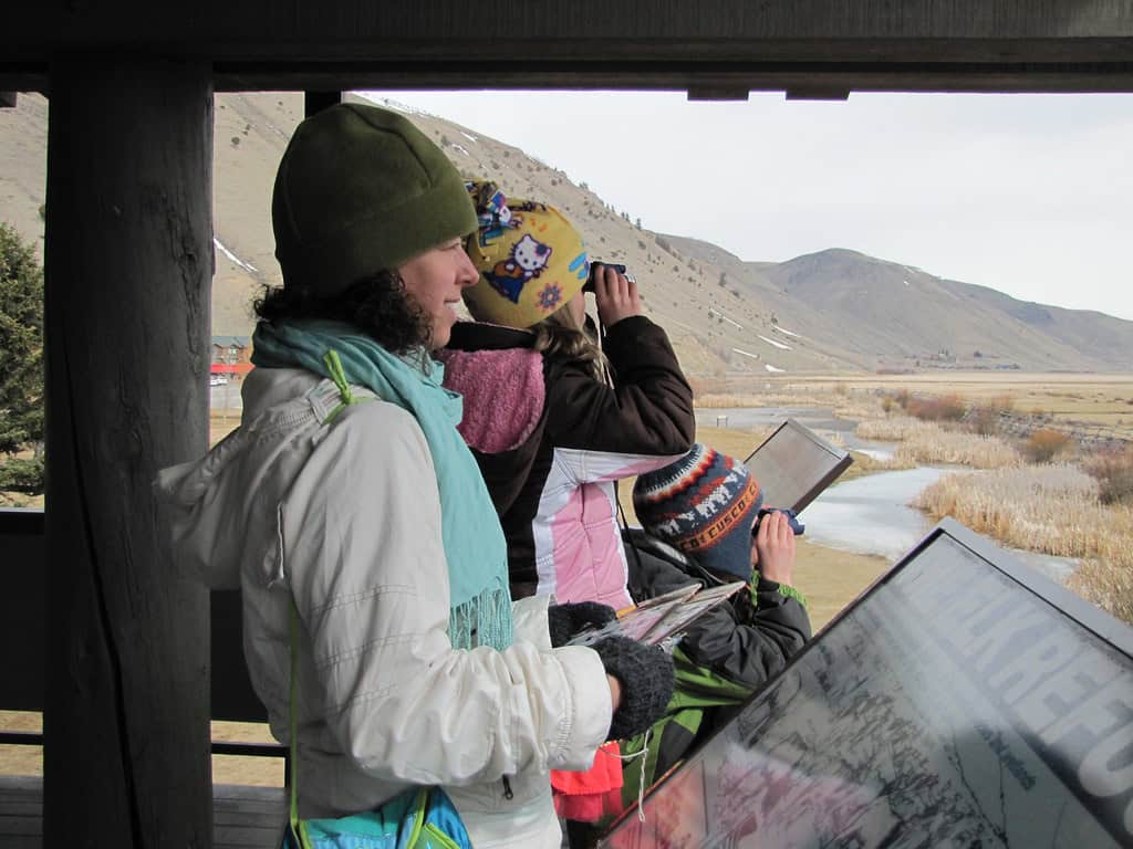 Alternative Elk Viewing Destinations (image credits: flickr)