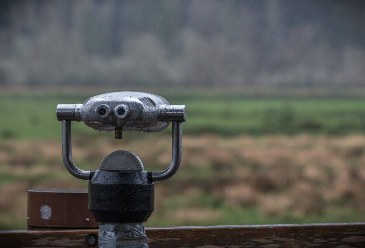The Future of Elk Viewing