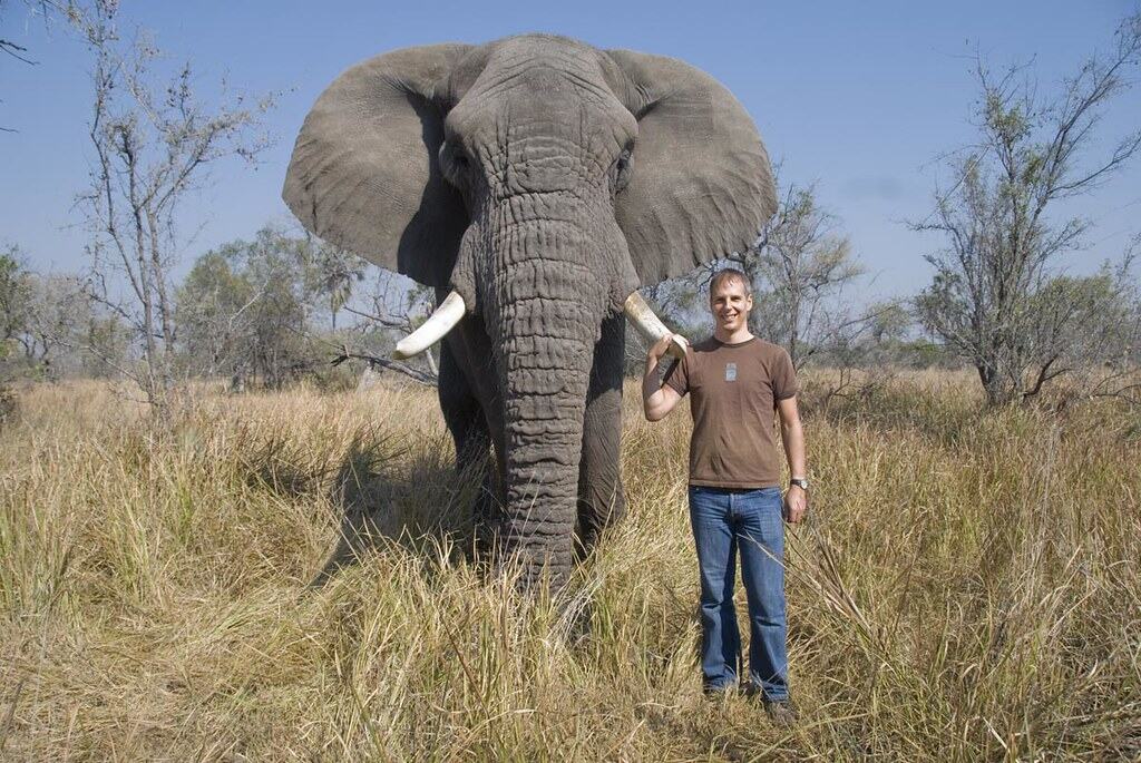 Human-Elephant Conflict Resolution (image credits: flickr)
