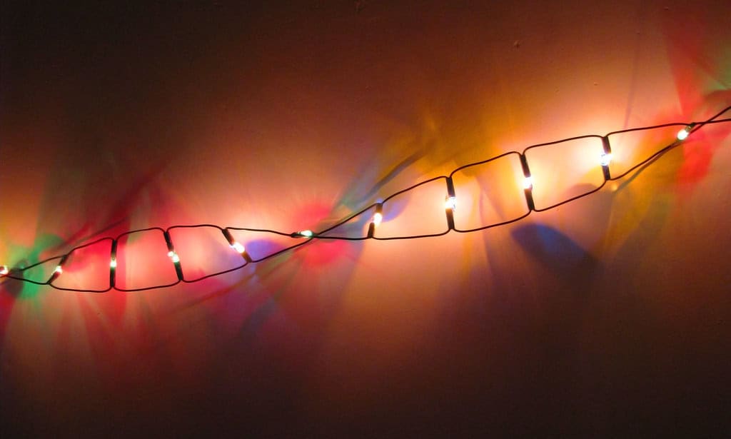 DNA Evidence Shattered the Relationship Myth