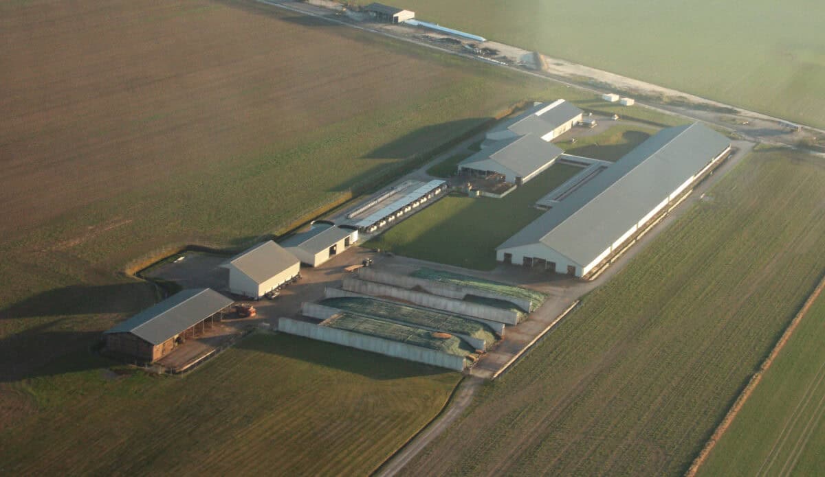 The Scale of Modern Industrial Agriculture