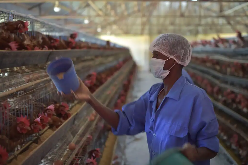 Arguments in Favor: Feeding a Growing Population (image credits: rawpixel)