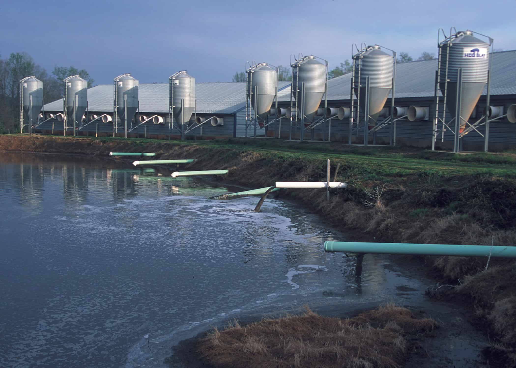 Environmental Impact: The Hidden Costs (image credits: wikimedia)