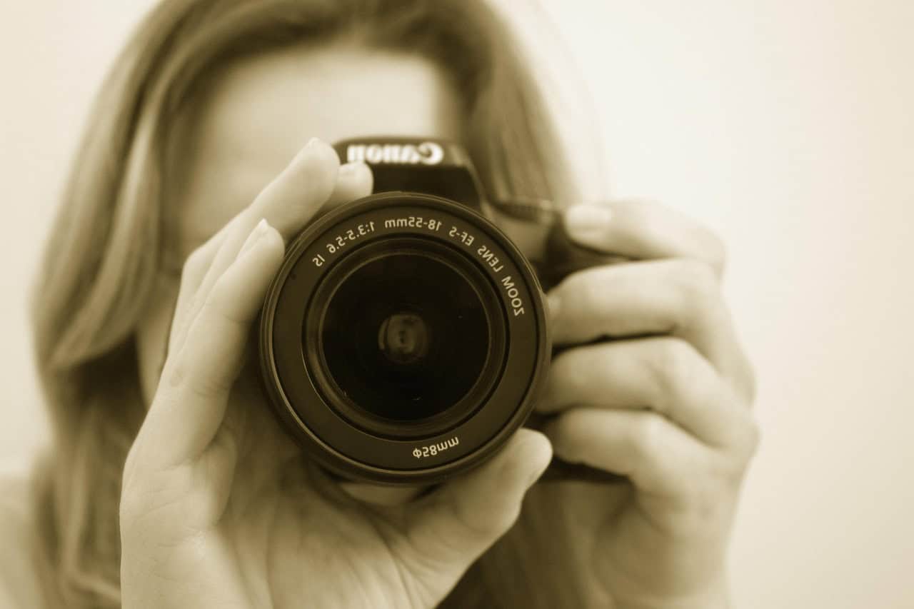 Photography and Documentation of Nose Booping (image credits: pixabay)