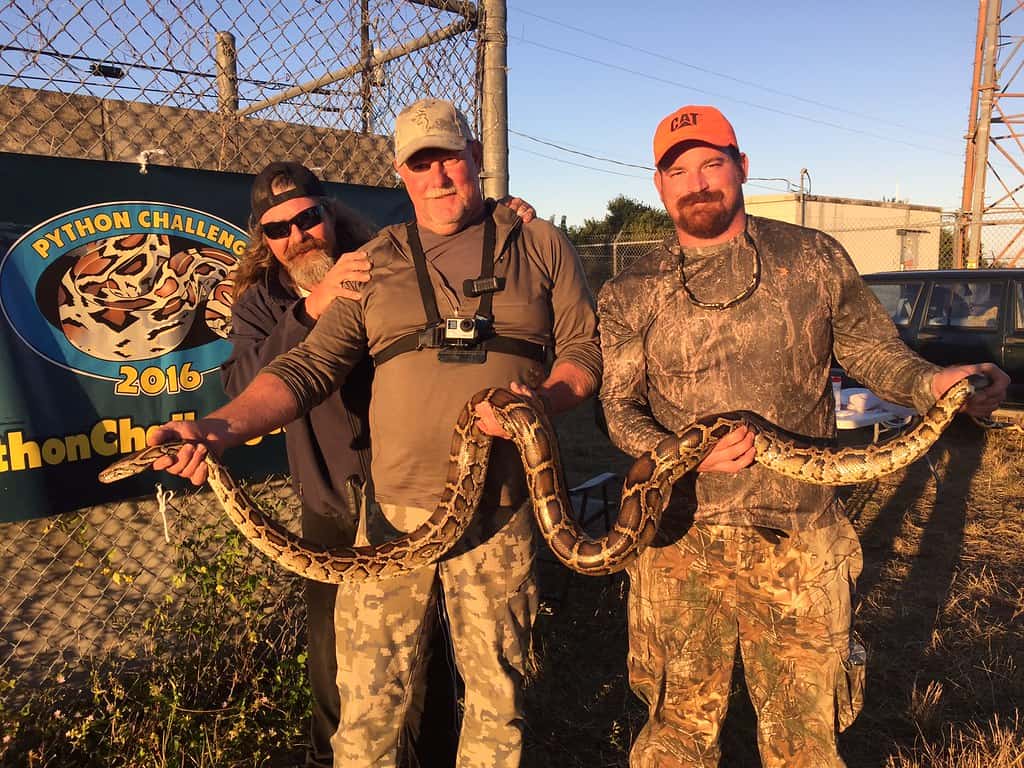 Conservation Efforts and Python Control Programs (image credits: flickr)