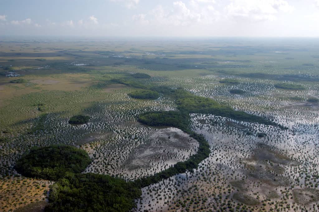 Climate Change and Python Expansion (image credits: flickr)