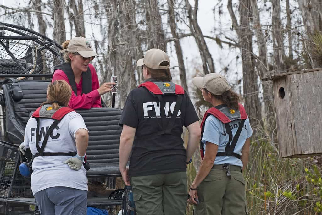 The Role of Citizen Science (image credits: flickr)