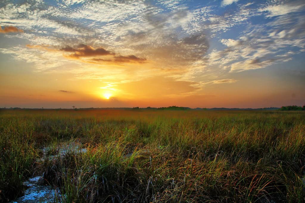 Looking Forward: Hope for Recovery (image credits: flickr)