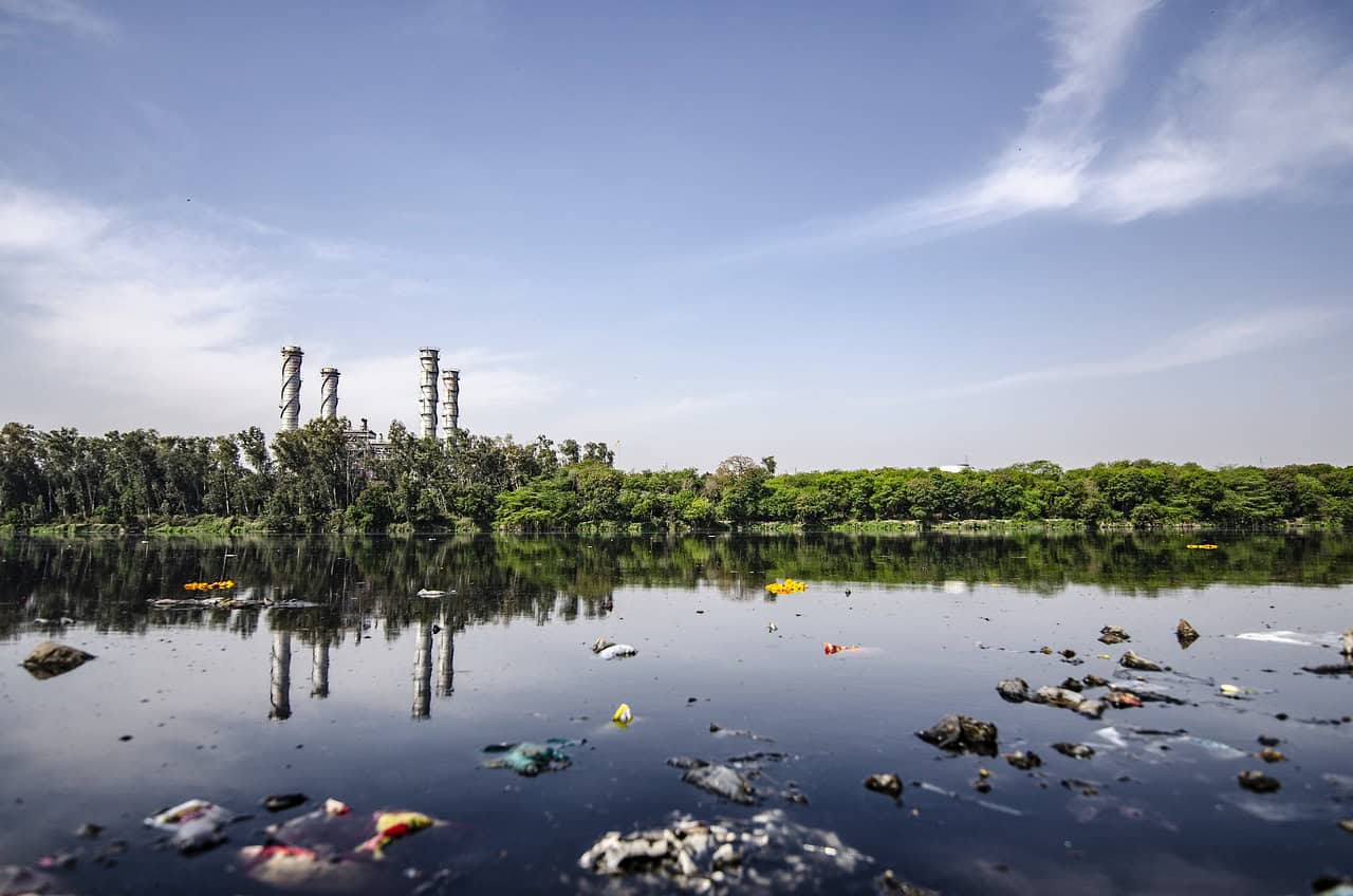 Threats from Development and Pollution (image credits: pixabay)