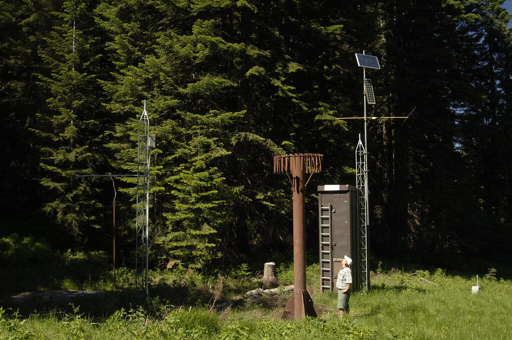The Role of Technology in Conservation (image credits: flickr)