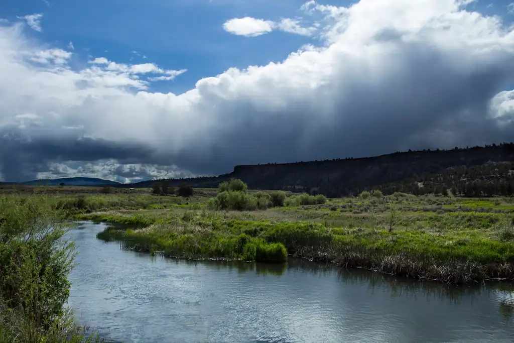 Habitat and Environment of the Miocene Giant (image credits: rawpixel)