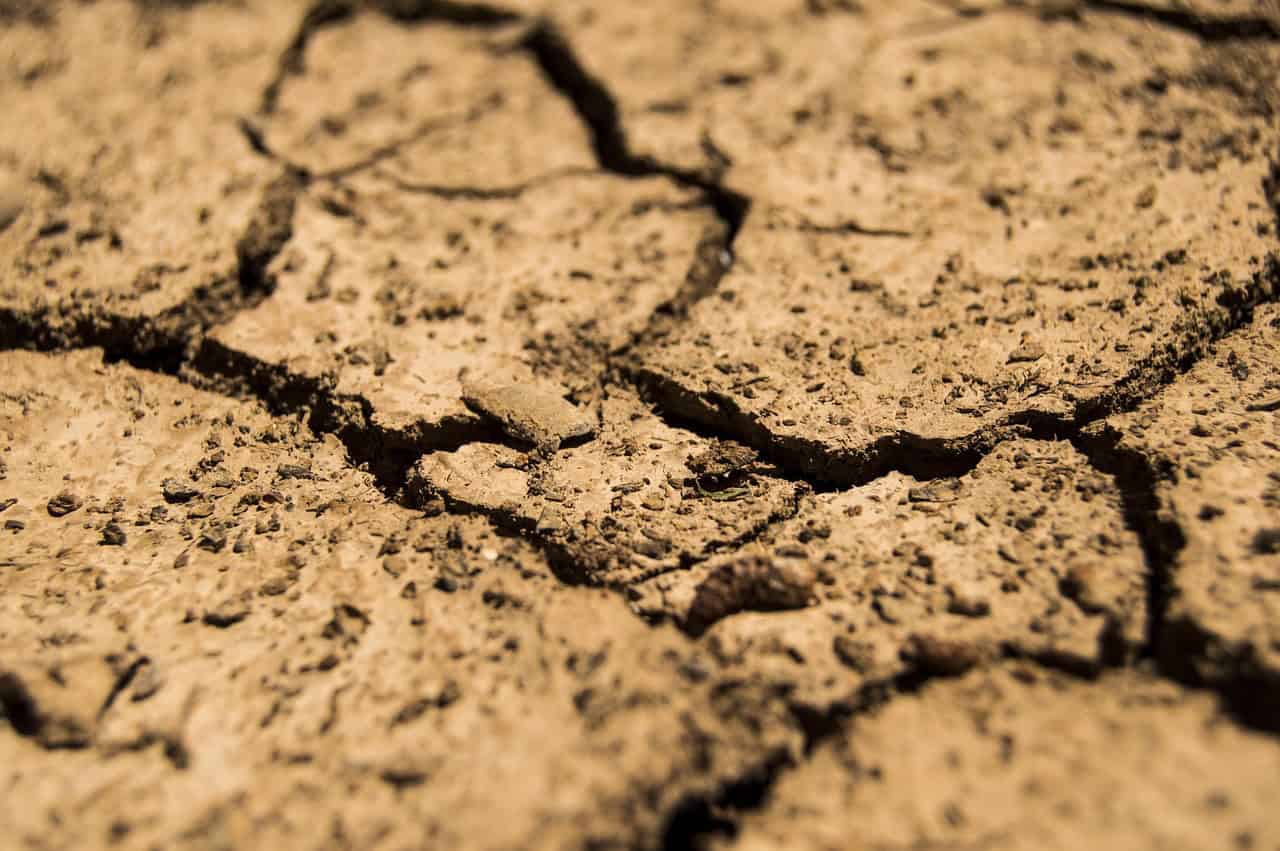 Extinction and Environmental Changes (image credits: pixabay)