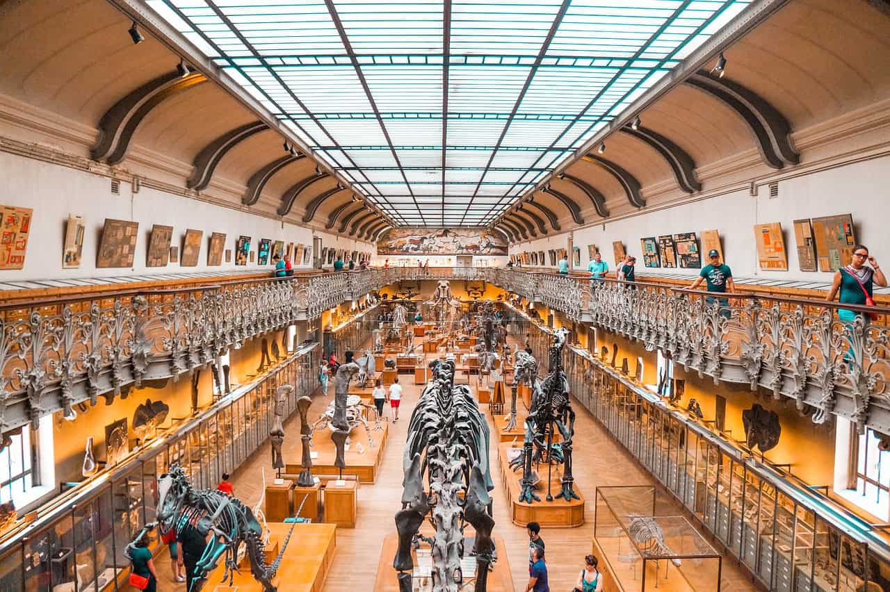 Educational Value and Scientific Literacy (image credits: pixabay)