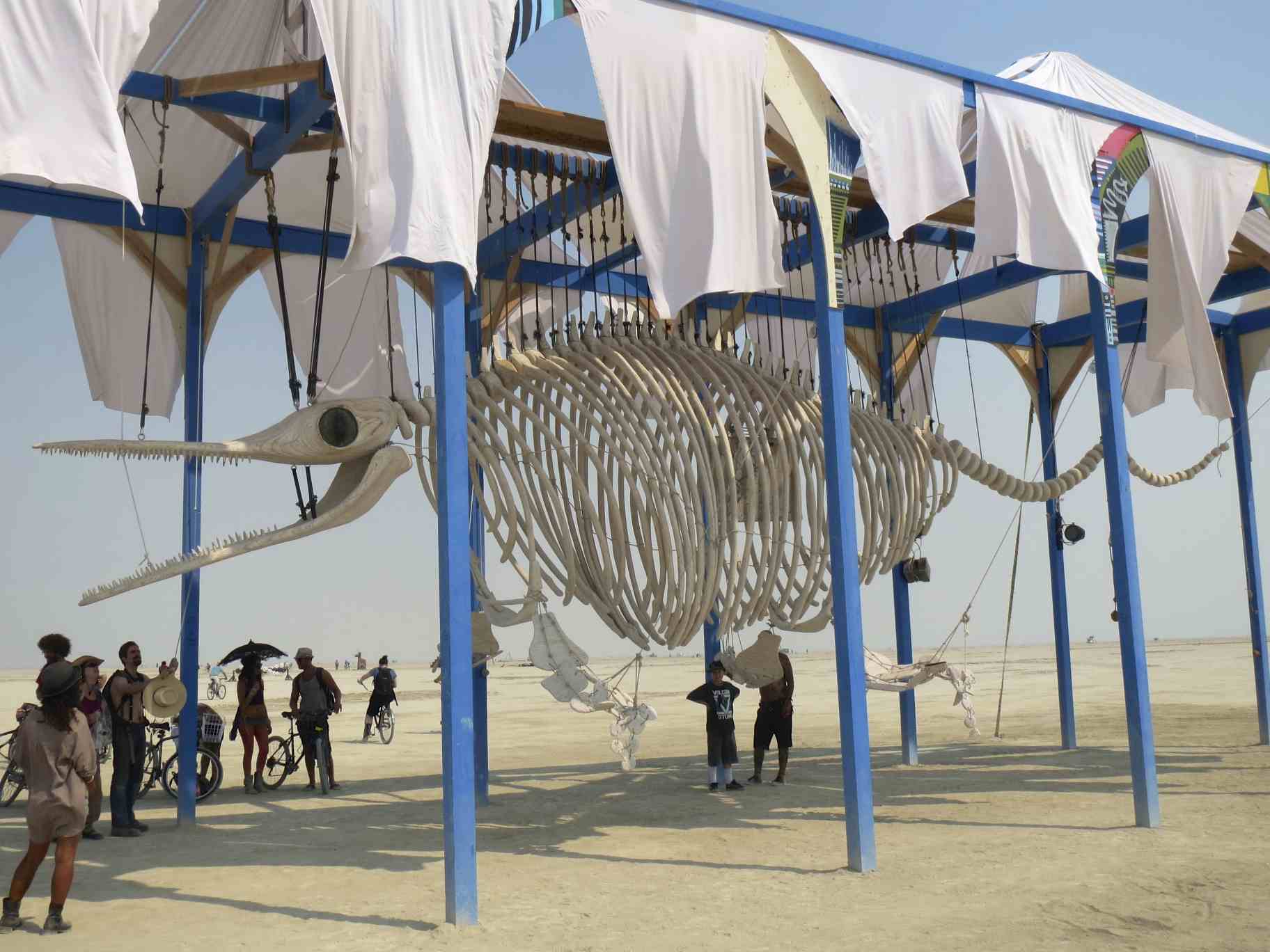 Giants of the Deep (image credits: wikimedia)