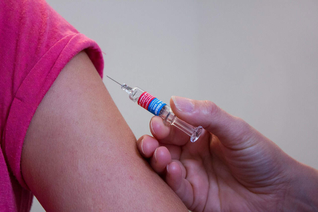 Medical Advances: Modern Antivenoms and Treatment (image credits: pixabay)