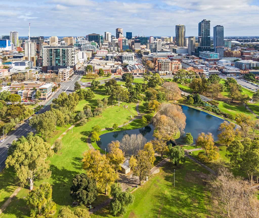 Urban Planning: Designing for Coexistence (image credits: flickr)