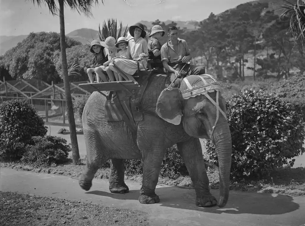 The Elephant Rides That Made History (image credits: rawpixel)