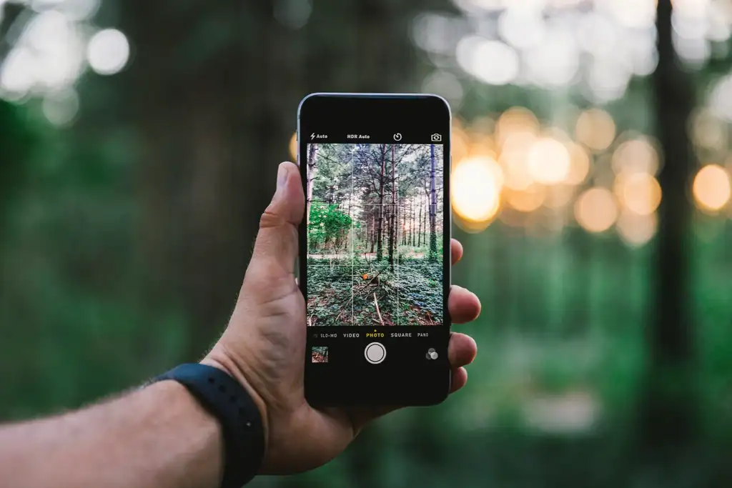Community Response: From Fear to Fascination (image credits: rawpixel)