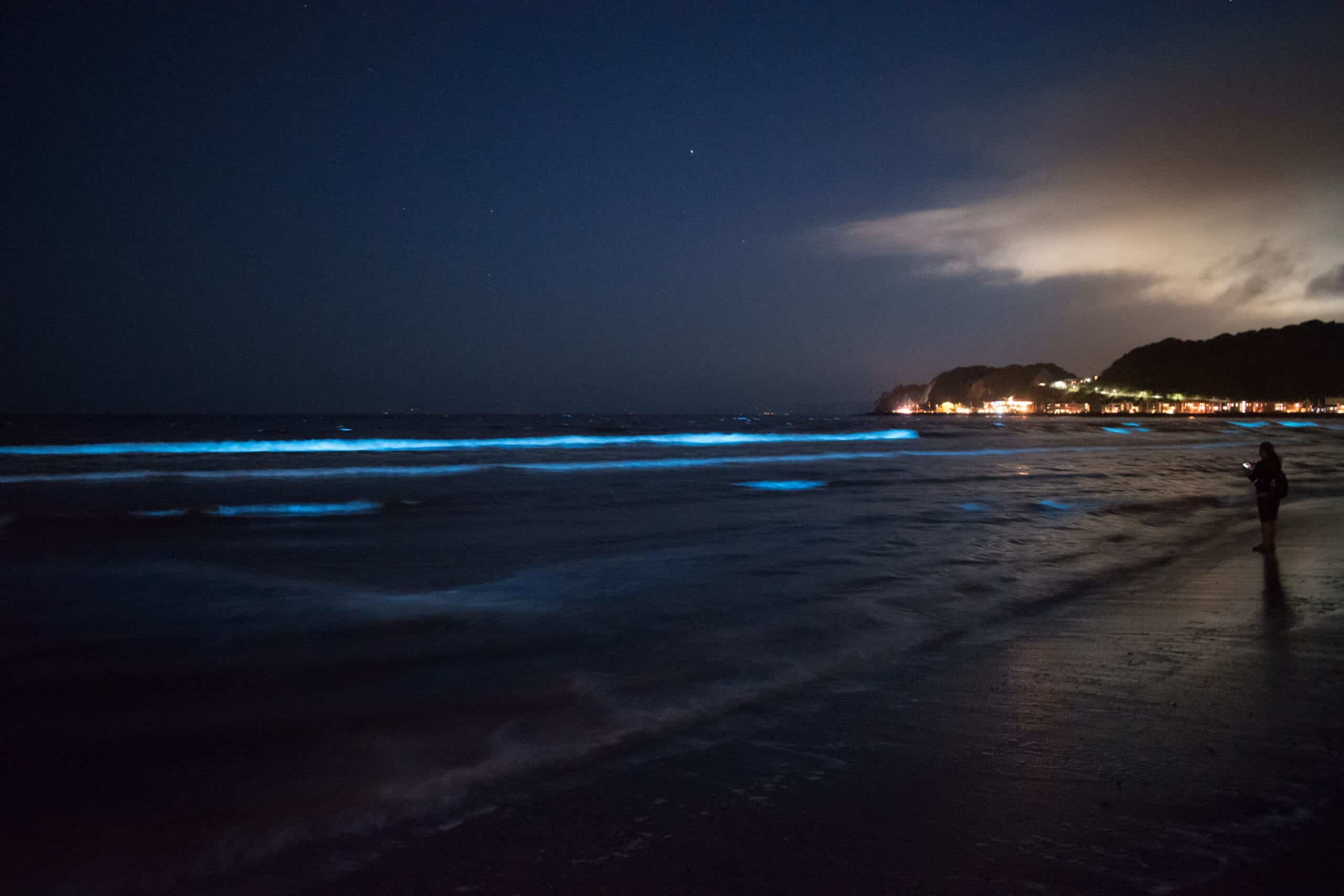 Luminous Beach, Maldives (image credits: wikimedia)
