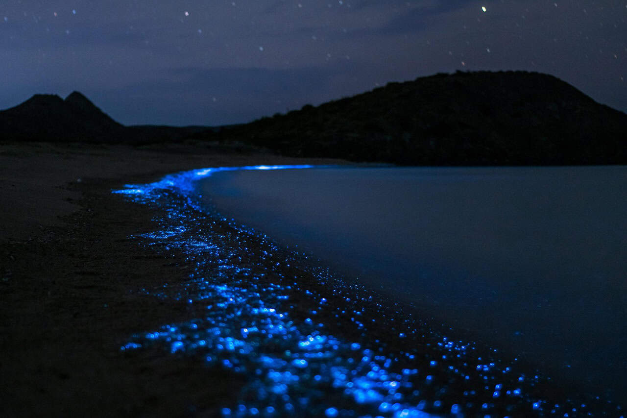 Jervis Bay, Australia (image credits: pixabay)