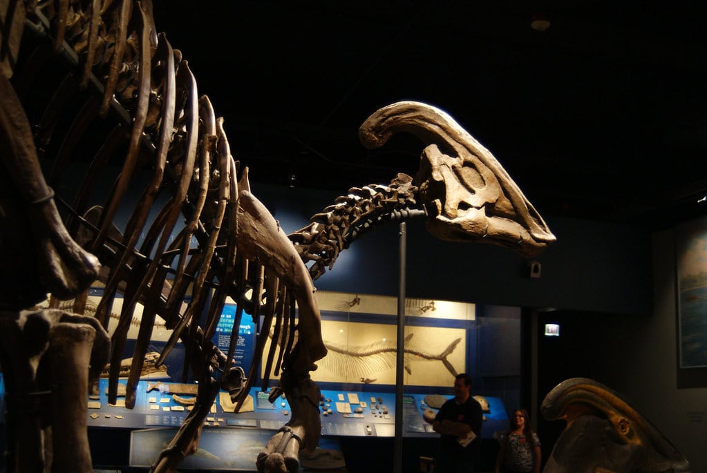Parasaurolophus: The Musical Dinosaur with a Built-in Trumpet