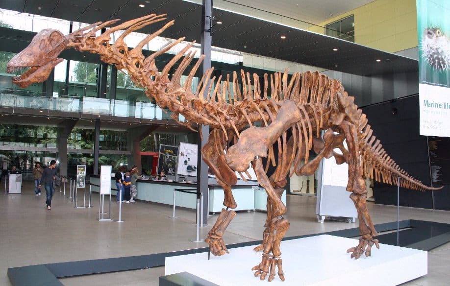 Amargasaurus: The Spiky Sauropod That Bucked the Trend (image credits: wikimedia)