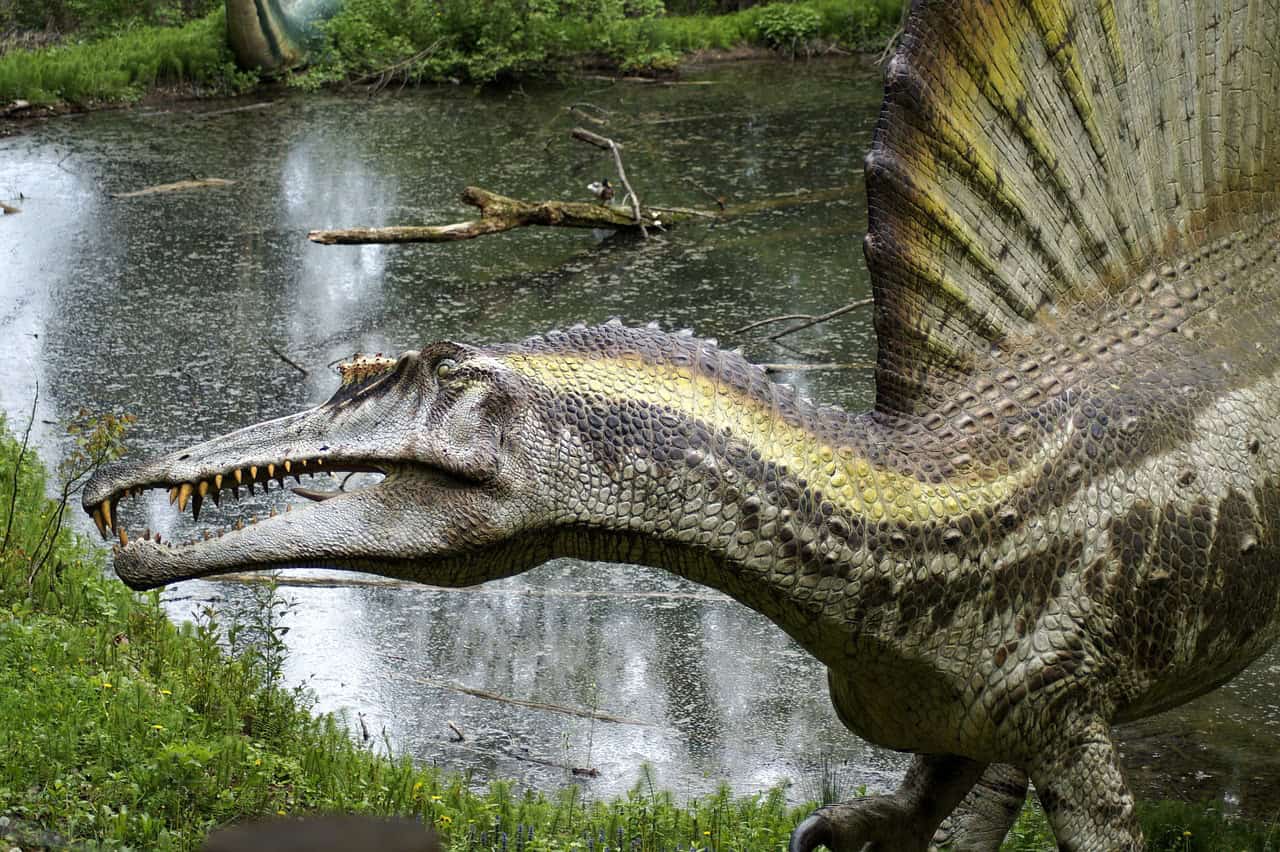 Spinosaurus: The Semi-Aquatic Crocodile Dragon (image credits: pixabay)