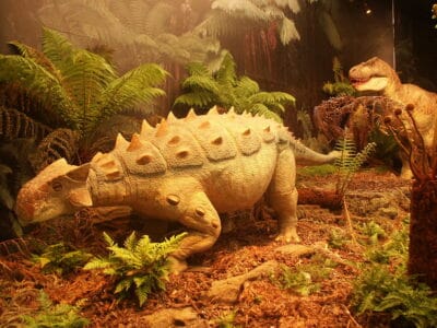 20 Dinosaurs That Didn&rsquo;t Look Anything Like We Imagined