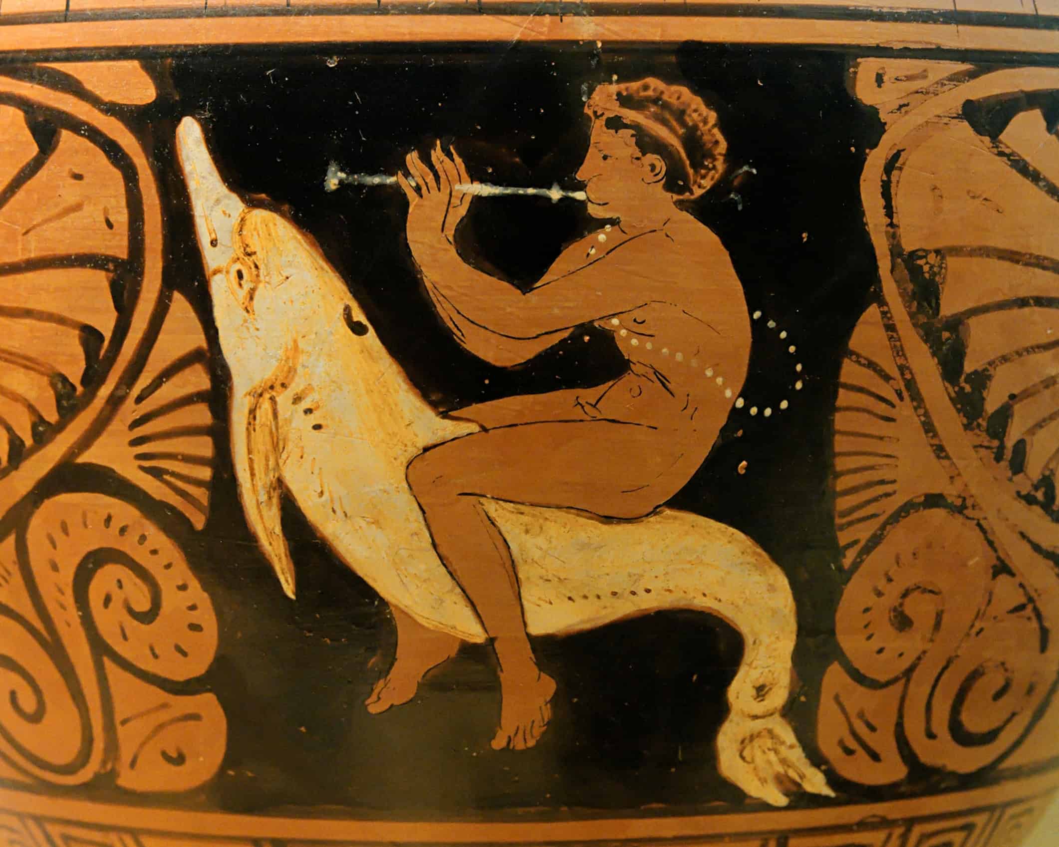 Arion and the Music-Loving Dolphin (image credits: wikimedia)
