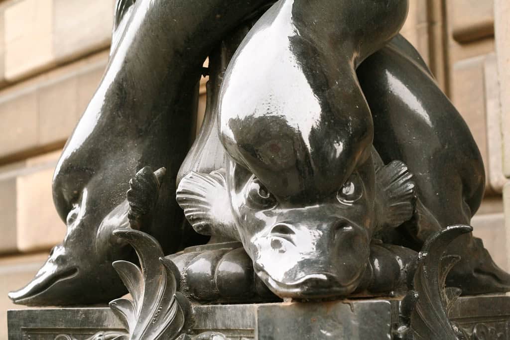 The Dolphin Funeral Rites (image credits: flickr)