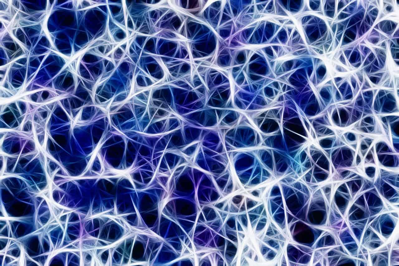 Neurological Adaptations for Split-Brain Sleep (image credits: pixabay)