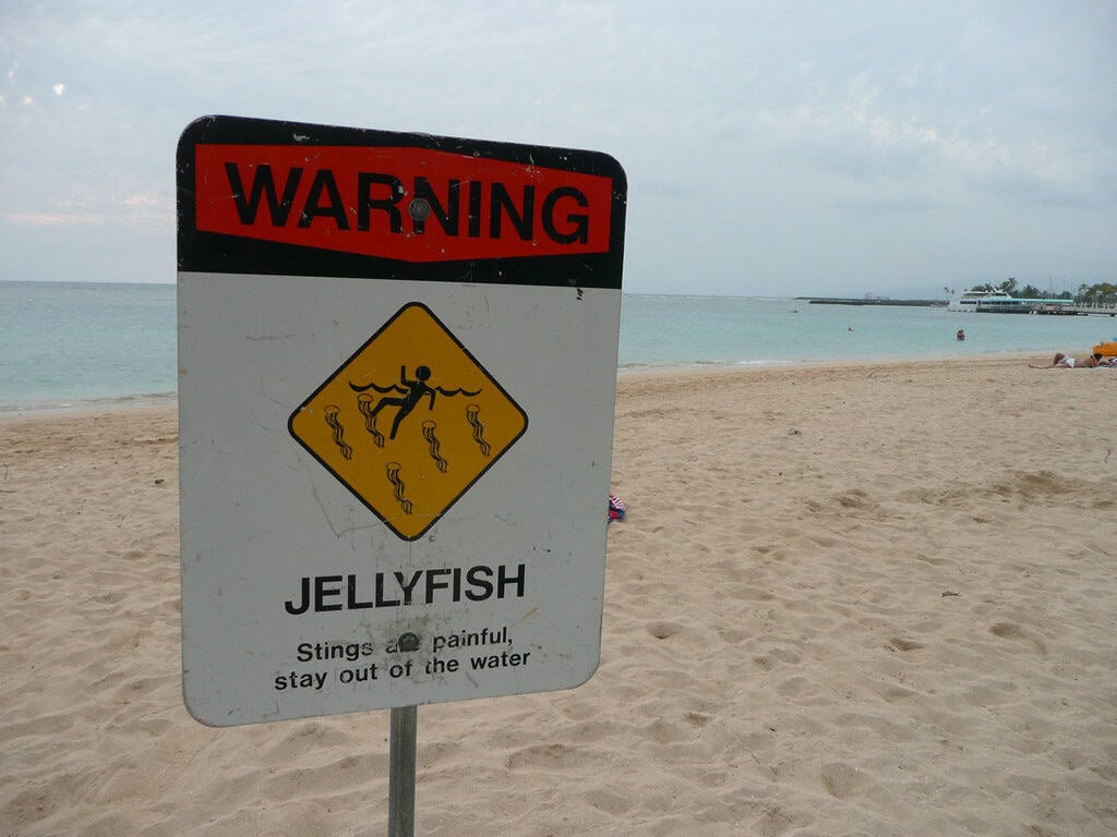 Safety Considerations for Beachgoers (image credits: flickr)