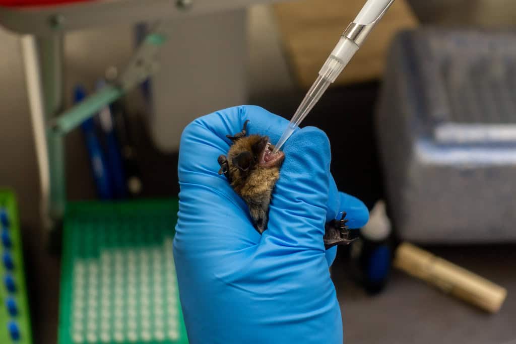 Scientific Research and Monitoring (image credits: flickr)