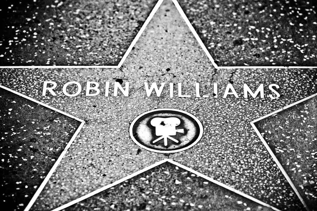 Robin William
