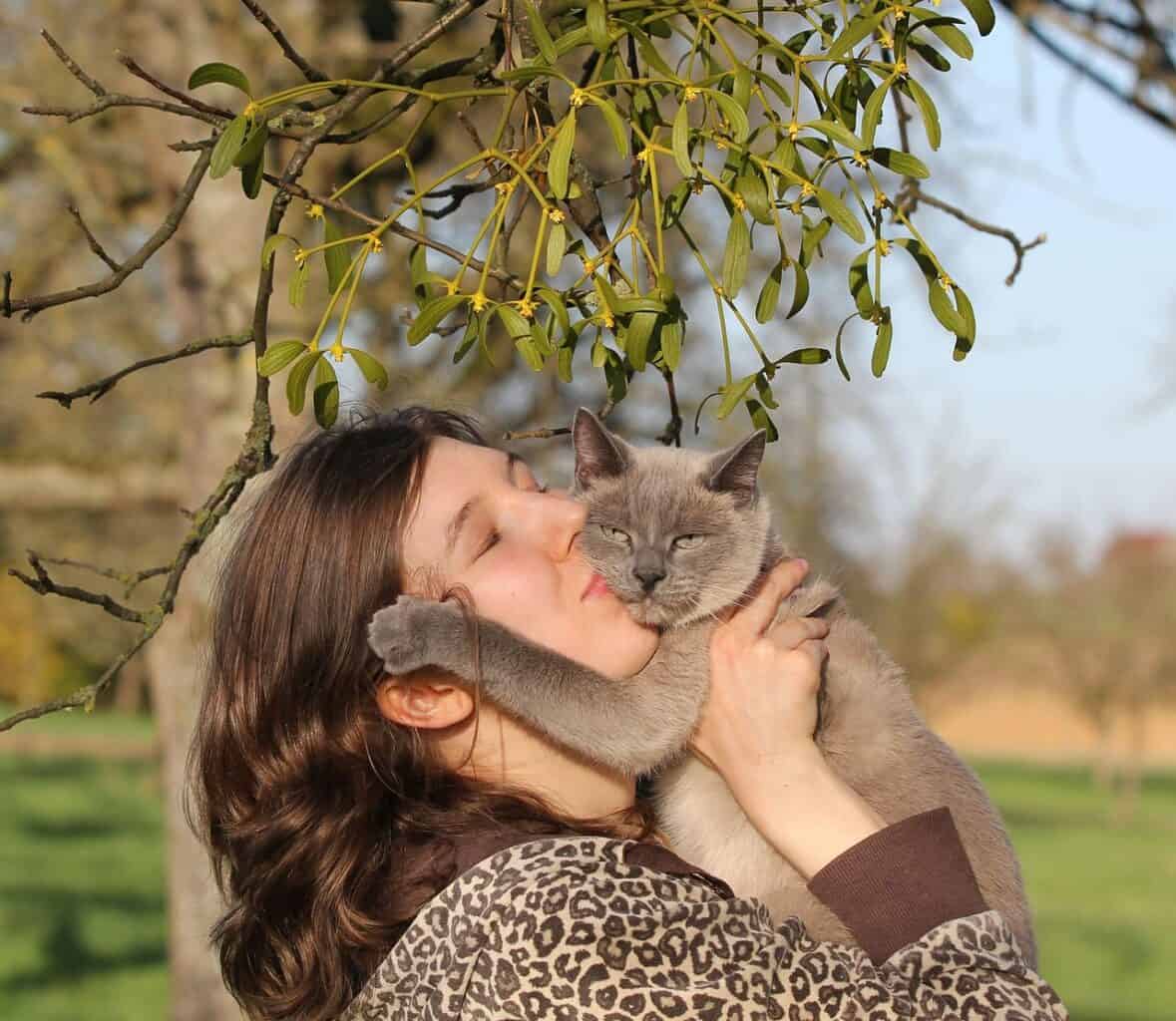 The Psychology of Human-Cat Nose Interactions (
